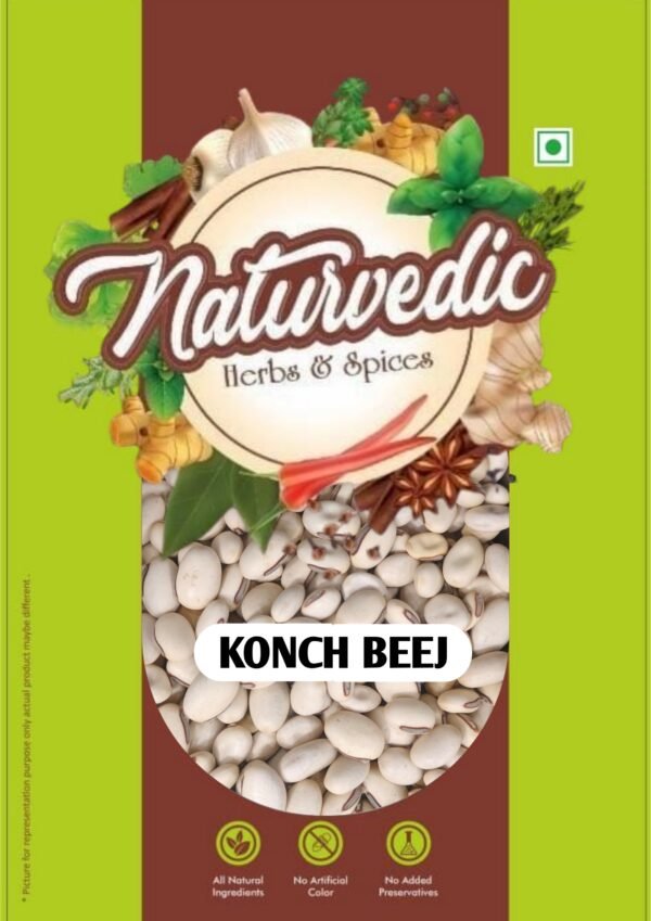 KONCH BEEJ